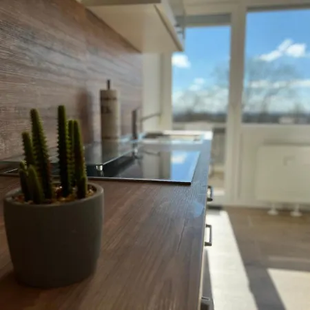 Spa-apartment Mit Sauna In Ulm-bofingen